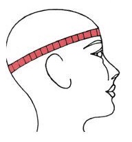 頭圍測量